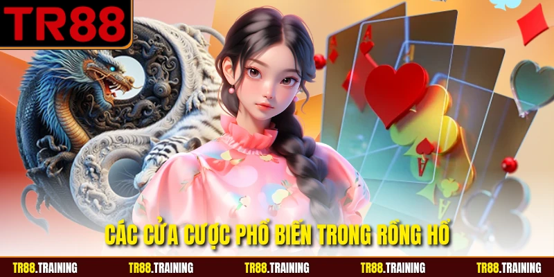 Các cửa cược phổ biến trong rồng hổ