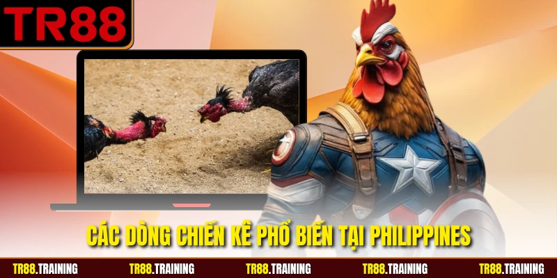 Các dòng chiến kê phổ biến tại Philippines