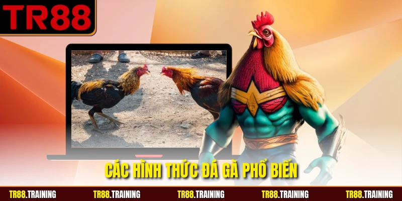 Các hình thức đá gà phổ biến