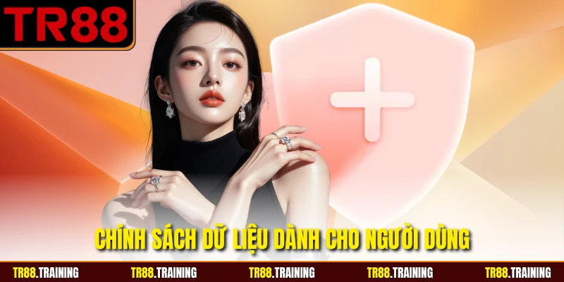 Chính sách dữ liệu dành cho người dùng