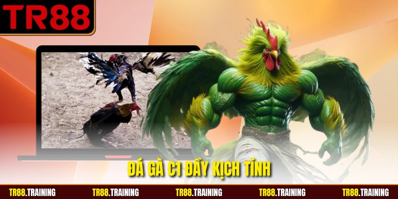 Đá gà C1 đầy kịch tính