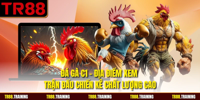 Đá Gà C1 - Địa Điểm Xem Trận Đấu Chiến Kê Chất Lượng Cao