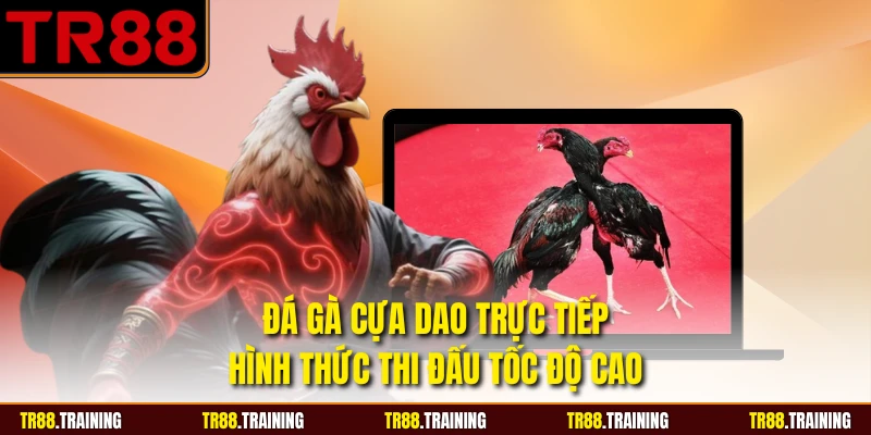 Đá Gà Cựa Dao Trực Tiếp - Hình Thức Thi Đấu Tốc Độ Cao