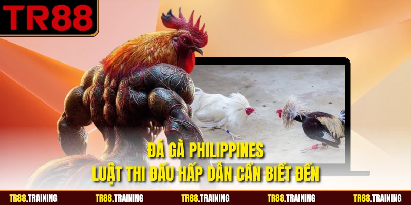 Đá Gà Philippines - Luật Thi Đấu Hấp Dẫn Cần Biết Đến