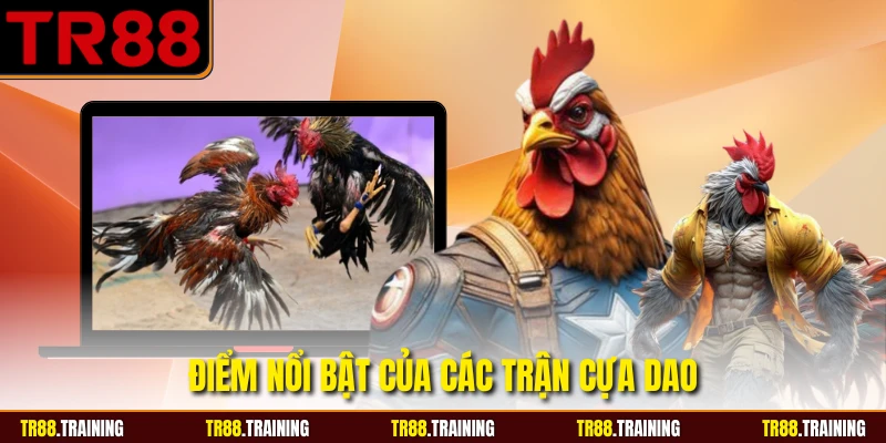 Điểm nổi bật của các trận cựa dao