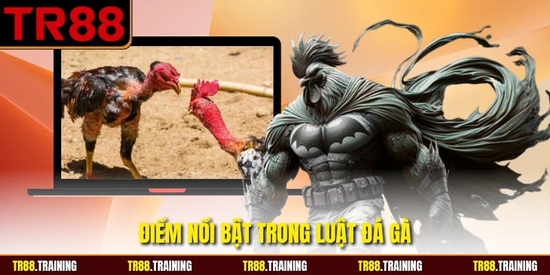Điểm nổi bật trong luật đá gà
