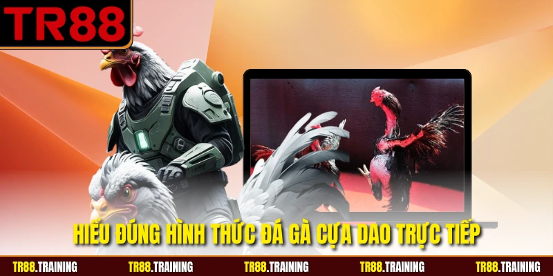 Hiểu đúng hình thức đá gà cựa dao trực tiếp