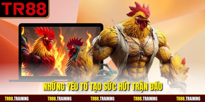Những yếu tố tạo sức hút trận đấu