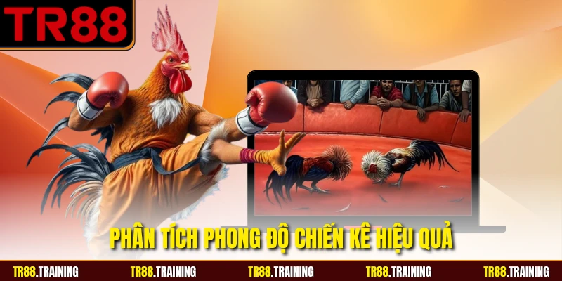 Phân tích phong độ chiến kê hiệu quả