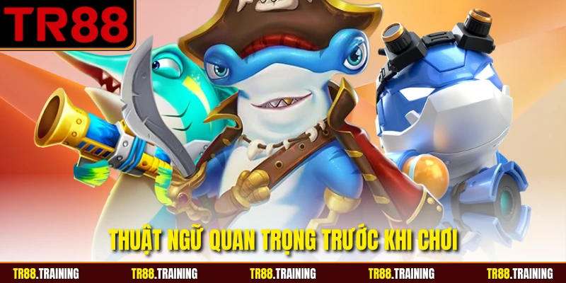 Thuật ngữ quan trọng trước khi chơi