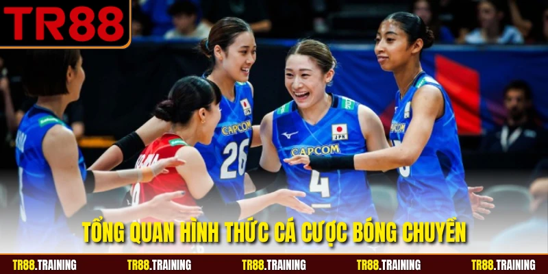 Tổng quan hình thức cá cược bóng chuyền