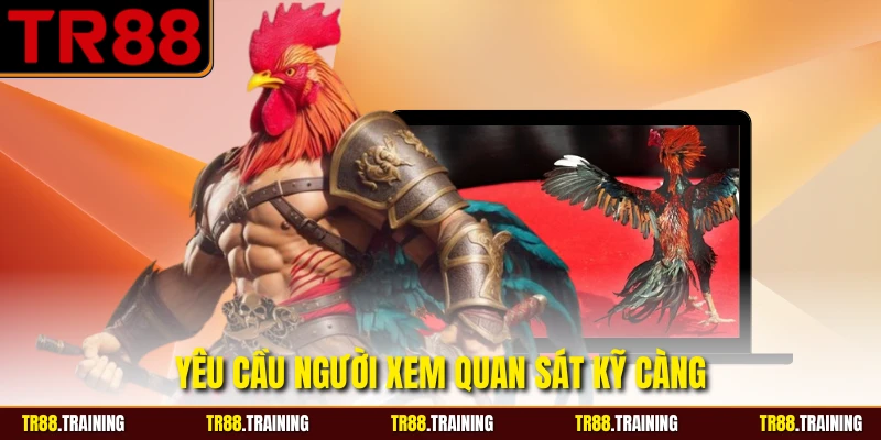 Yêu cầu người xem quan sát kỹ càng
